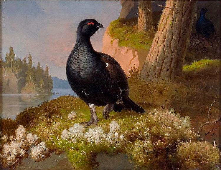 Ferdinand von Wright Black Grouses 1864 Germany oil painting art